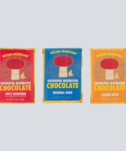 Chocolate Variety Bundle Pack